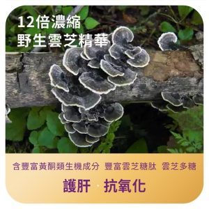 3+精粹三芝膠囊 Trible-immuPro：圖片 7