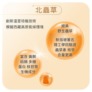 蟲草虎乳芝膠囊Cordyceps Tiger Milk Capsules：圖片 6