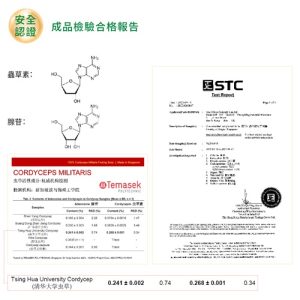 蟲草虎乳芝膠囊Cordyceps Tiger Milk Capsules：圖片 9