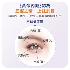 EYES+山桑子精粹膠囊：圖片 4