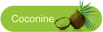 500_brand_coconine